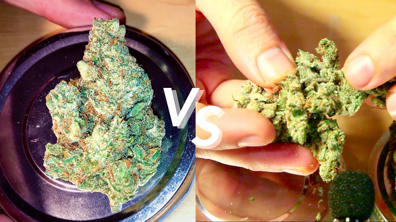 ASMR Weed Battle | Amnesia Haze vs Sour Diesel