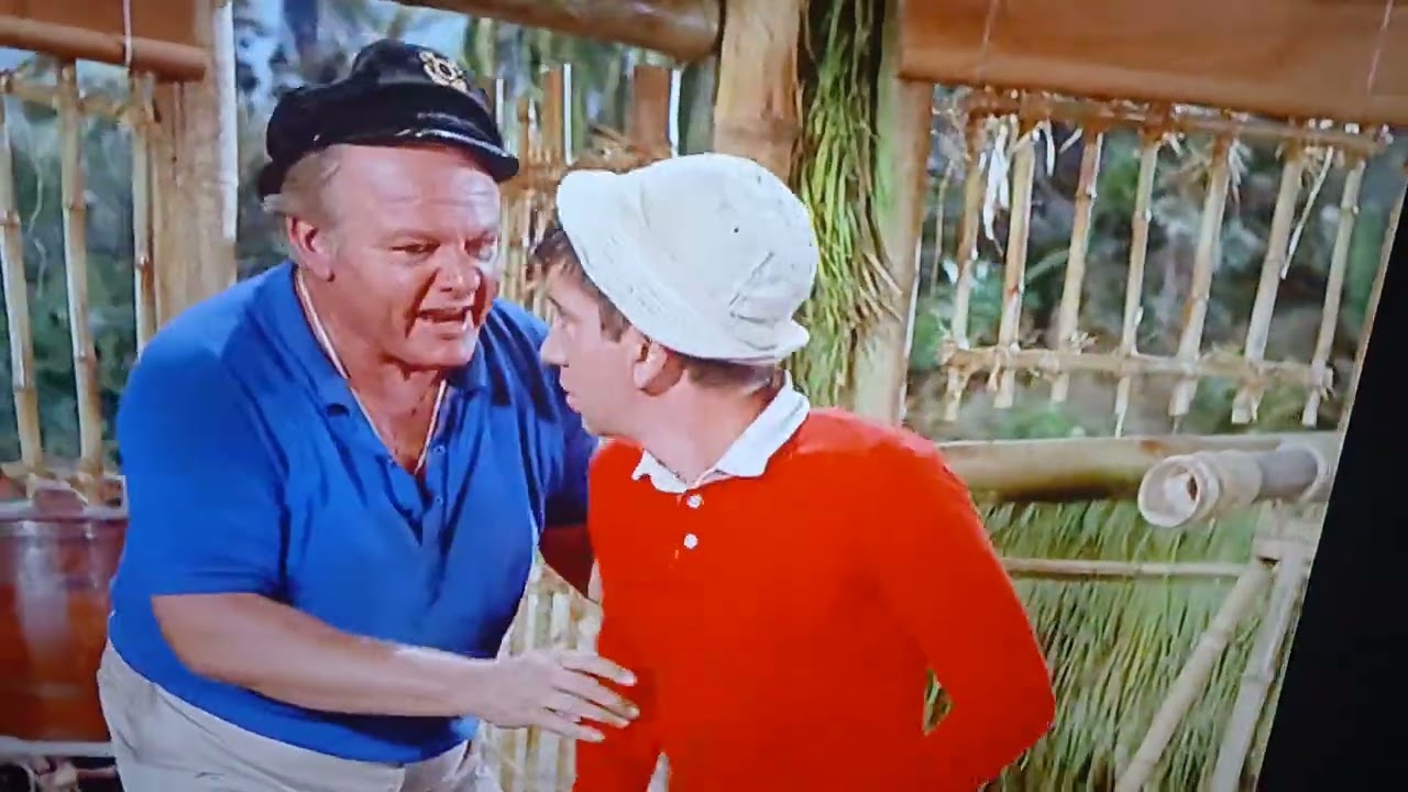 The Funniest Exchange Between Skipper and Gilligan