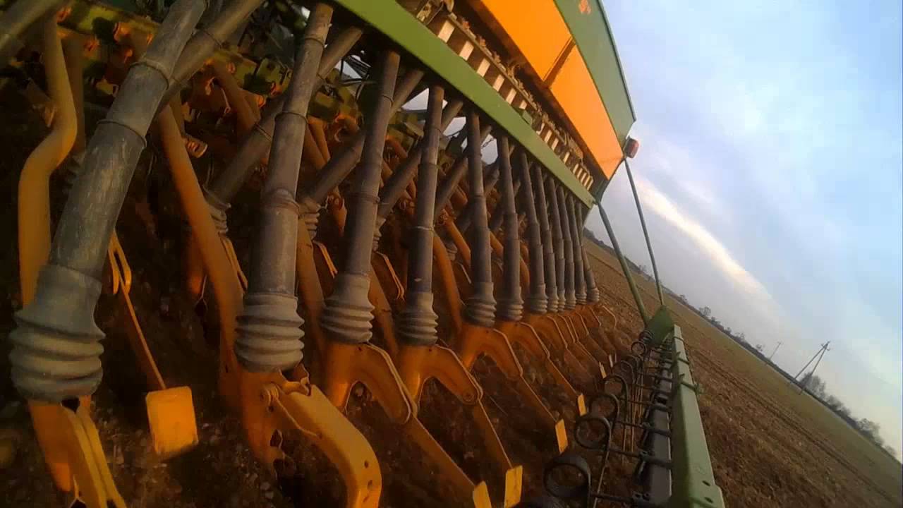 ||Siew Jęczmienia 2014|| Zetor 8011| Amazone D7 Super S|HD