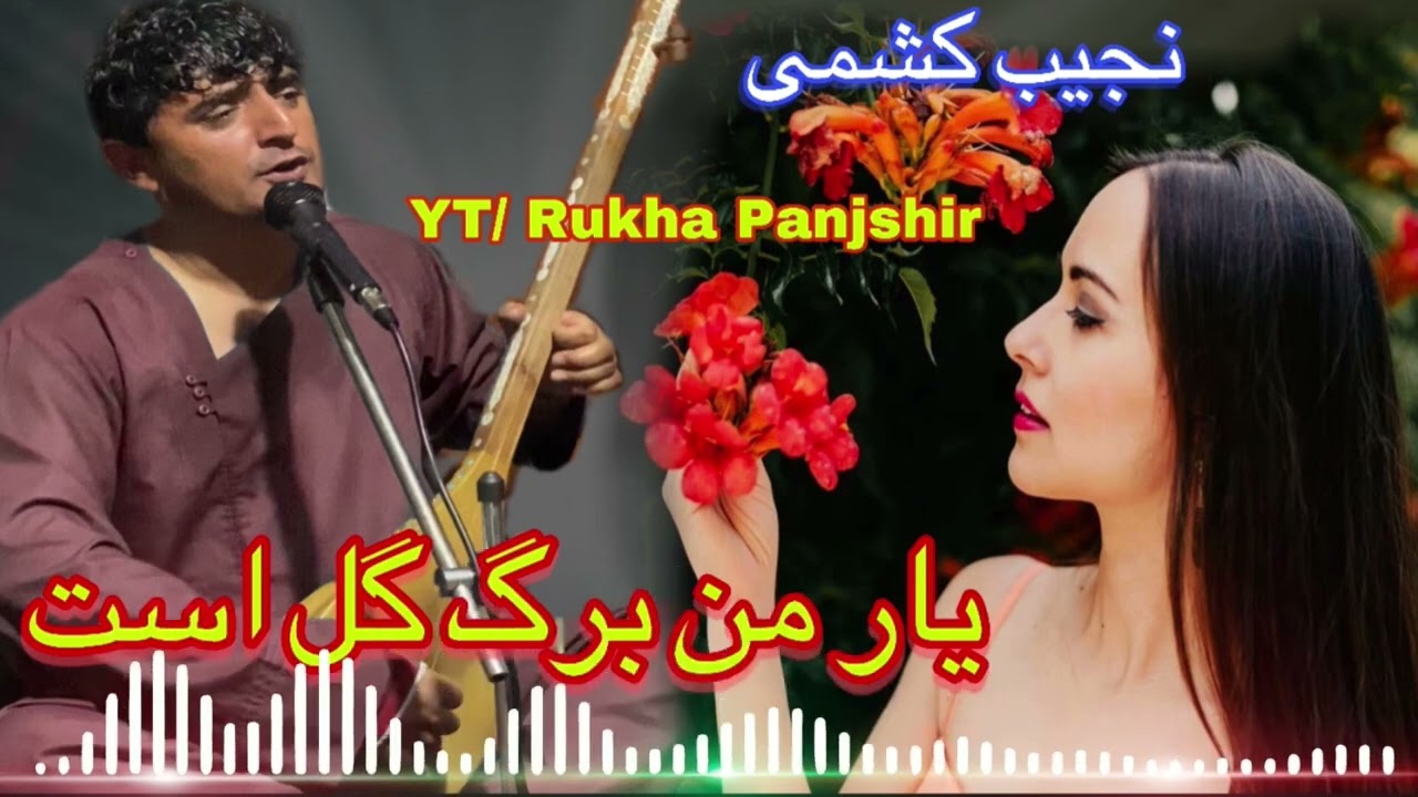 Najib keshmi   نجیب کشمی یار من برگ گل است