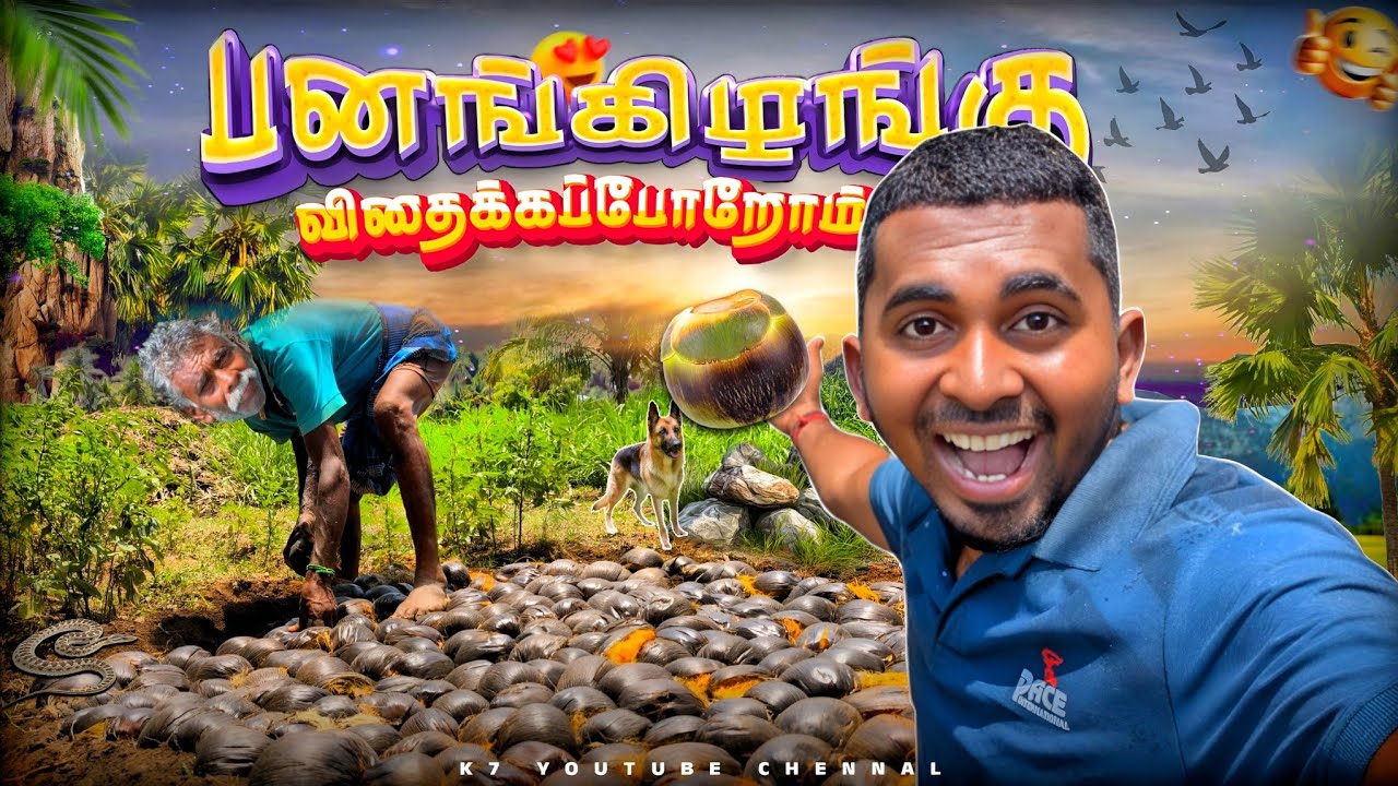 “😱Family - ஆ சேர்ந்து😍 பனங்கொட்டை பொறுக்கி விதைச்சோம் 🌴 Family Fun Vlog 😂🔥” | K7