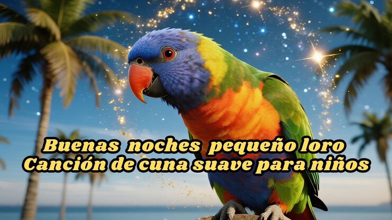 Buenas noches, pequeño loro | Canción de cuna suave para niños