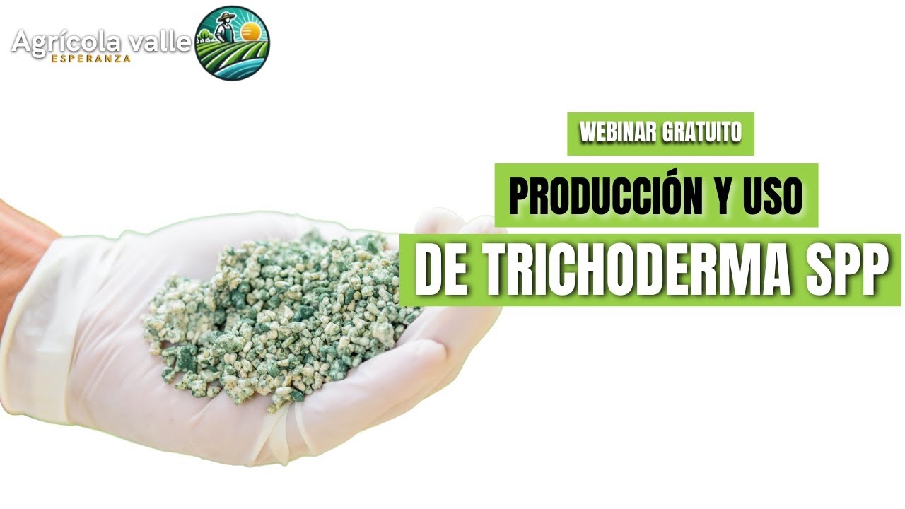 PRODUCCIÓN Y USO DE TRICHODERMA