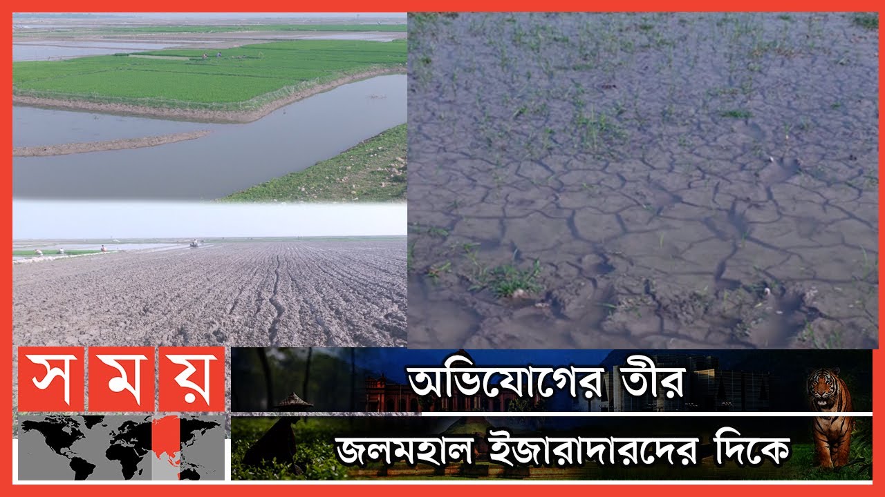 'দেখার হাওরে' নেই পানির দেখা, চিন্তায় কৃষক! | Sunamganj Haor | Sunamganj Farmers | Somoy TV