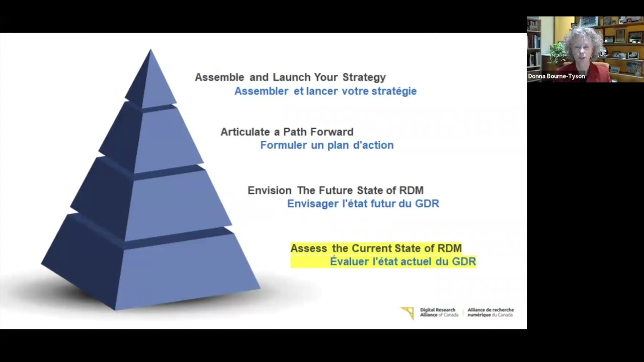 Developing Institutional Strategies and Policies for Research Data
