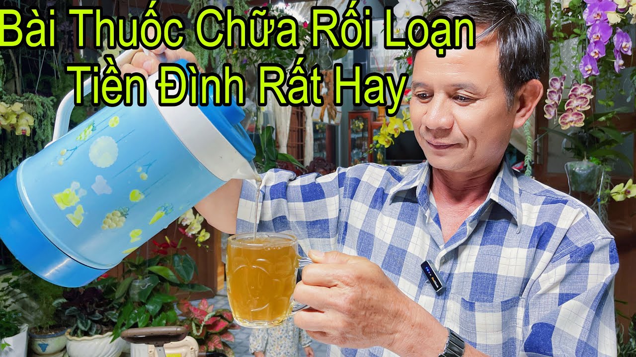 Cây Đinh Lăng Điều Trị Bệnh Rối Loạn Tiền Đình Cực Kỳ Hiệu Quả