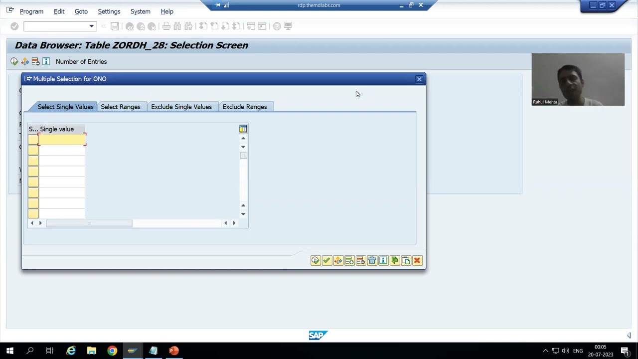 91 - ABAP Dictionary - New Data Browser Part1