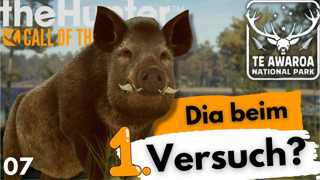 Die Suche nach dem DIA Razorback! | Te Awaroa Dia Lodge 7 | the Hunter Deutsch