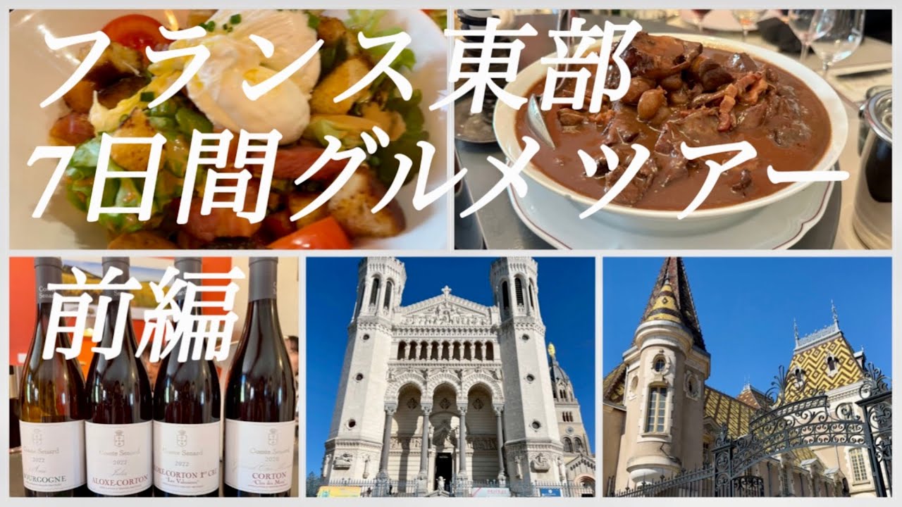 【フランス東部7日間🇫🇷前編リヨン&ブルゴーニュ】フランス政府公認食いしん坊ガイドと行く食べて飲んで見る春のグルメツアー🌸