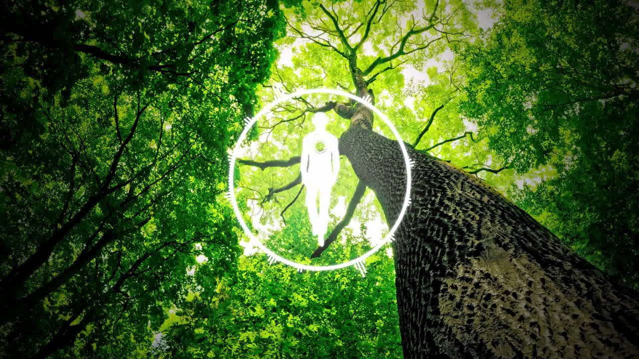 Chillstep: Yal!X - Mourning Dove