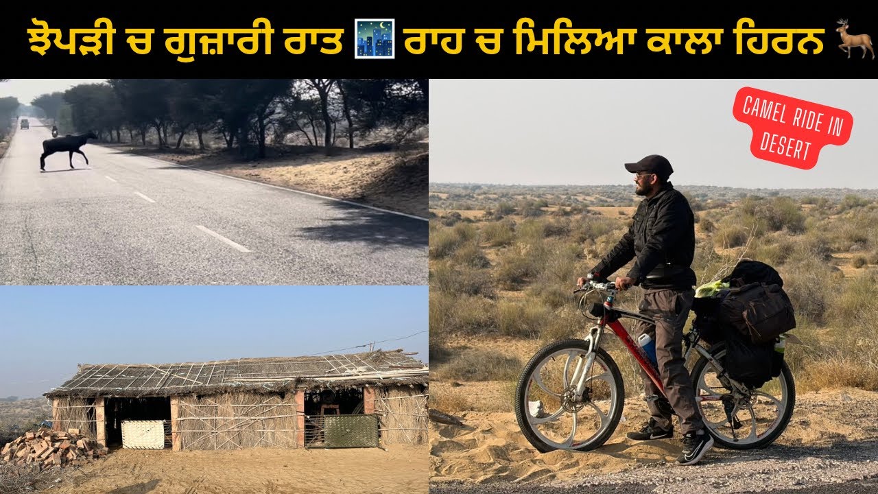 ਰਾਜਸਥਾਨ ਦੇ ਸੁੰਨਸਾਨ ਇਲਾਕੇ 🚵‍♂️🍂ਤੇ ਉਥੇ ਦੇਖਿਆ ਕਾਲਾ ਹਿਰਨ 🦌 