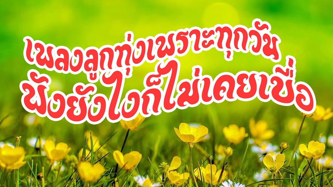 เพลงลูกทุ่งฟังเพราะทุกวันฟังยังไงก็ไม่เคยเบื่อ