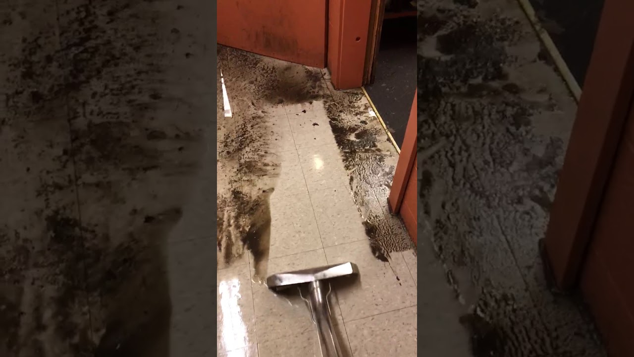 Sewage Cleanup