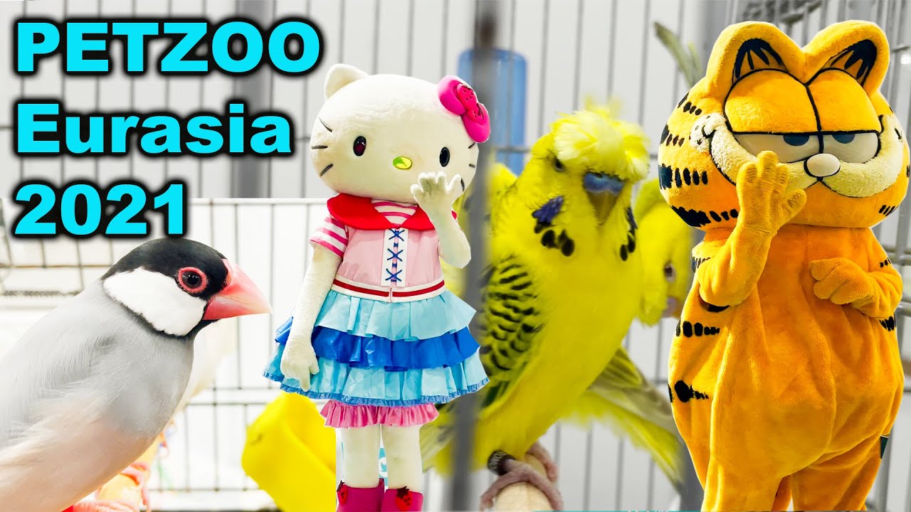 Evcil Hayvan Ürün Malzeme ve Aksesuar Fuarını Gezdik! PETZOO Eurasia 2021
