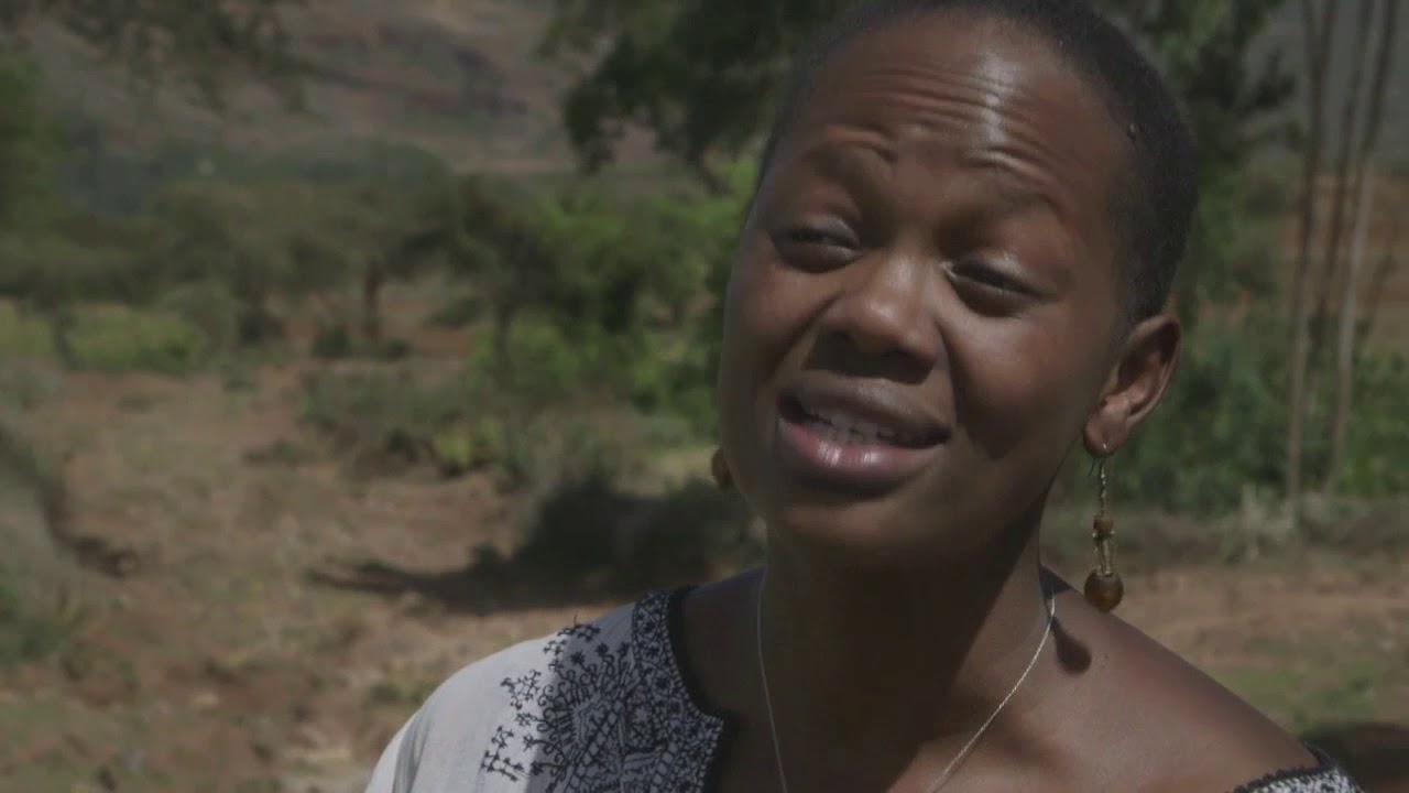 People of Tigray (Ethiopia) turn the desert green again
