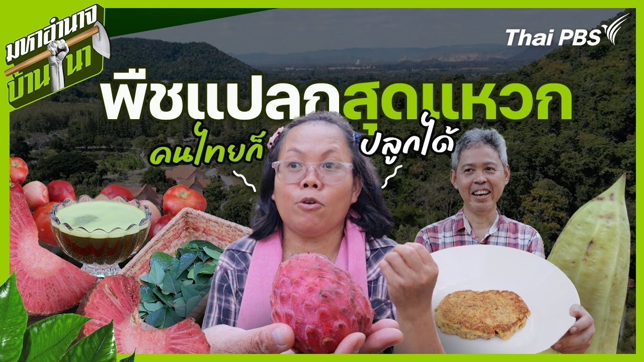 พืชแปลกสุดแหวก คนไทยก็ปลูกได้ | มหาอำนาจบ้านนา