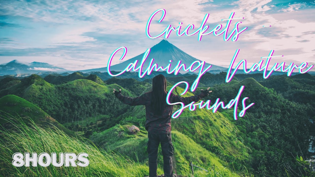 Crickets - Calming Nature Sounds for Sleep & Relaxation - 8 Hours  #8hourssleep