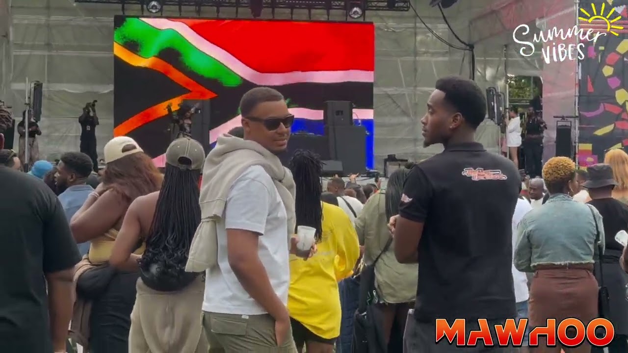 Piano People in The Park [Full Show London2024]#kabzadesmall #djmaphorisa #amapiano