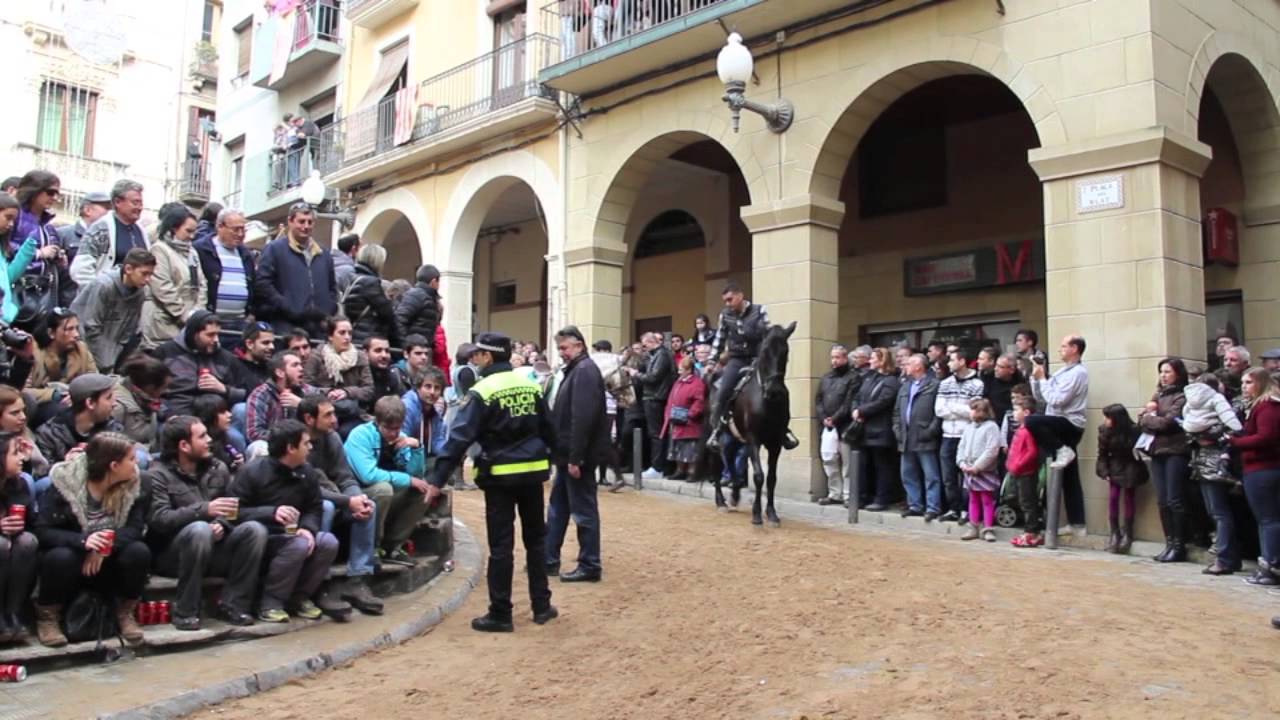 Beautiful Spanish Horses on Parade!