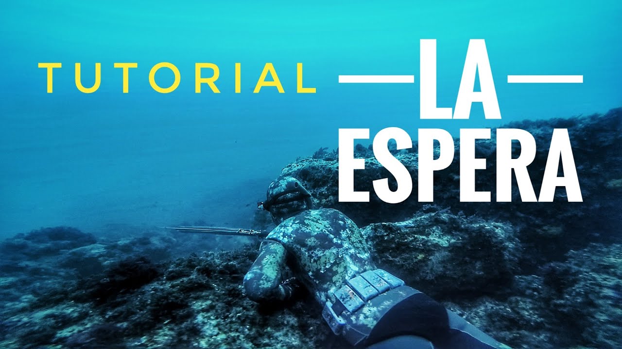 &iquest;COMO HACER UNA ESPERA? - TUTORIAL T&Eacute;CNICA PESCA SUBMARINA #3