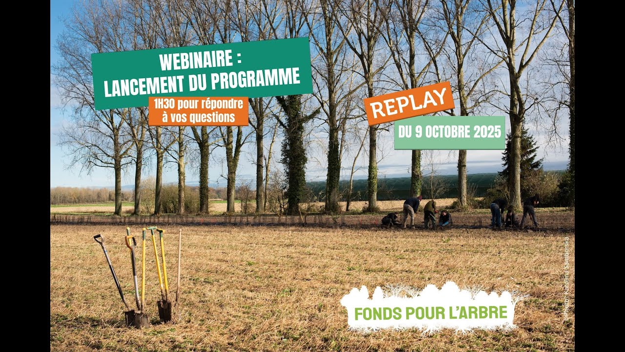 Fonds pour l'Arbre - Lancement du programme d'appels à projets 25-26