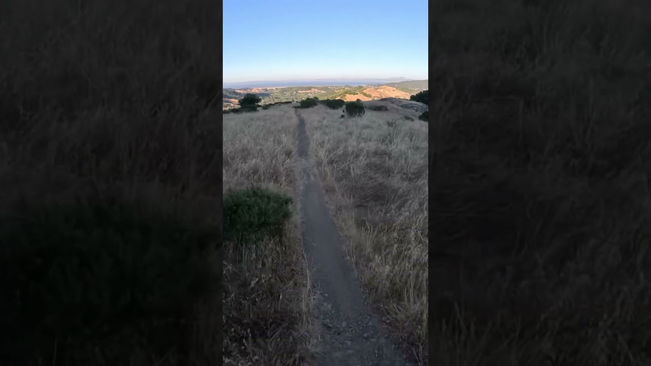 Fire road side trail #mtb #mountainbike #bike #bikelife #singletrack #music #rap