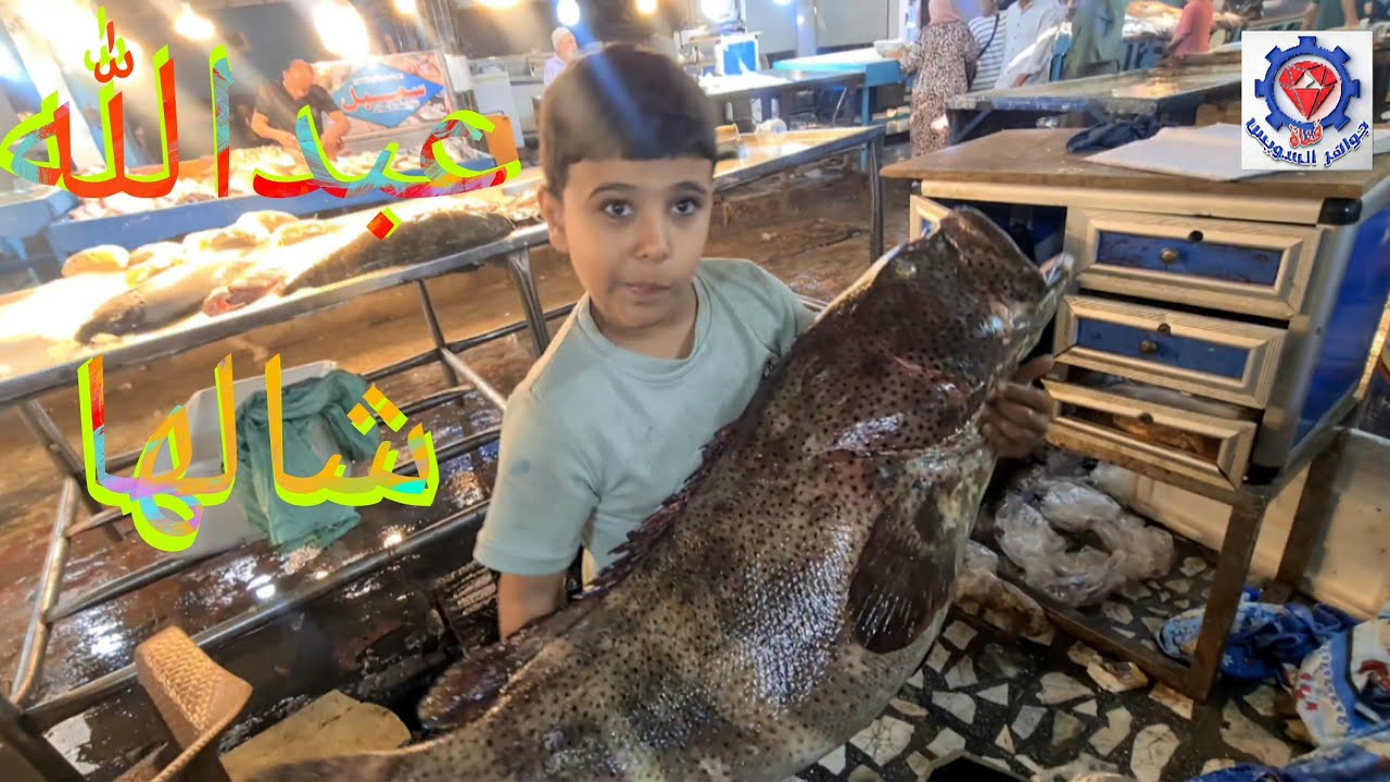 @ فرصة جميع أنواع أسماك البحر الأحمر  بمحل  محمد ميزار بسوق السمك بالأنصاري بالسويس اليوم. 