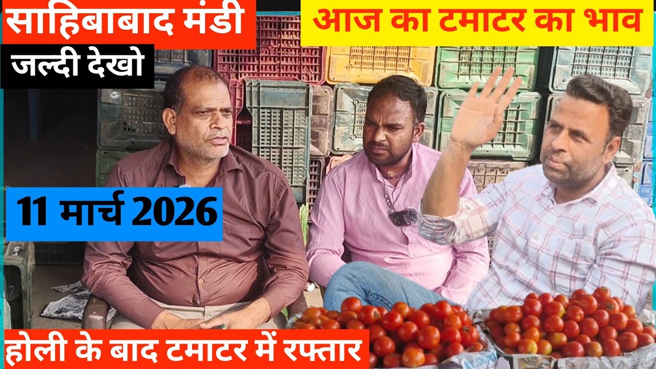 Why This Indian Mandi is Full of Tomatoes 🍅आज का टमाटर  भाव