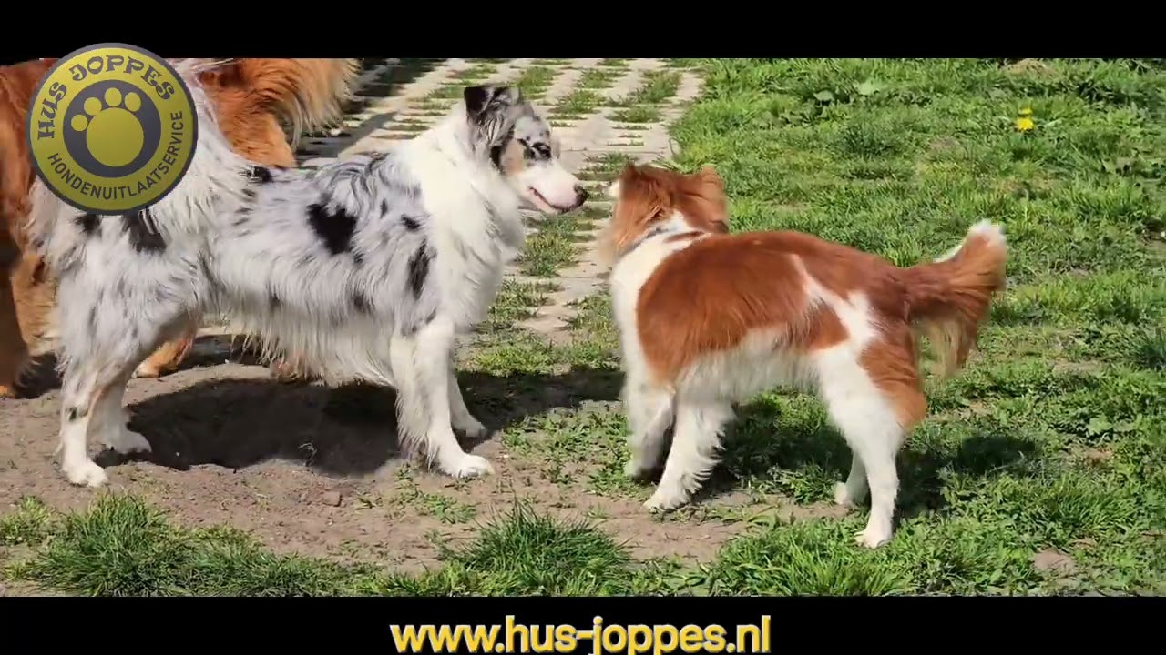 Www.hus-joppes.nl