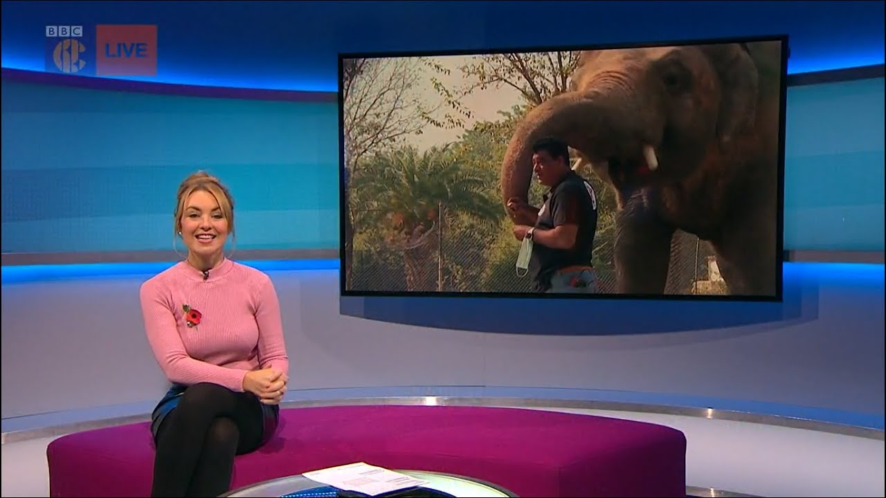 Hayley Hassall - Black Tights - 7/11/20