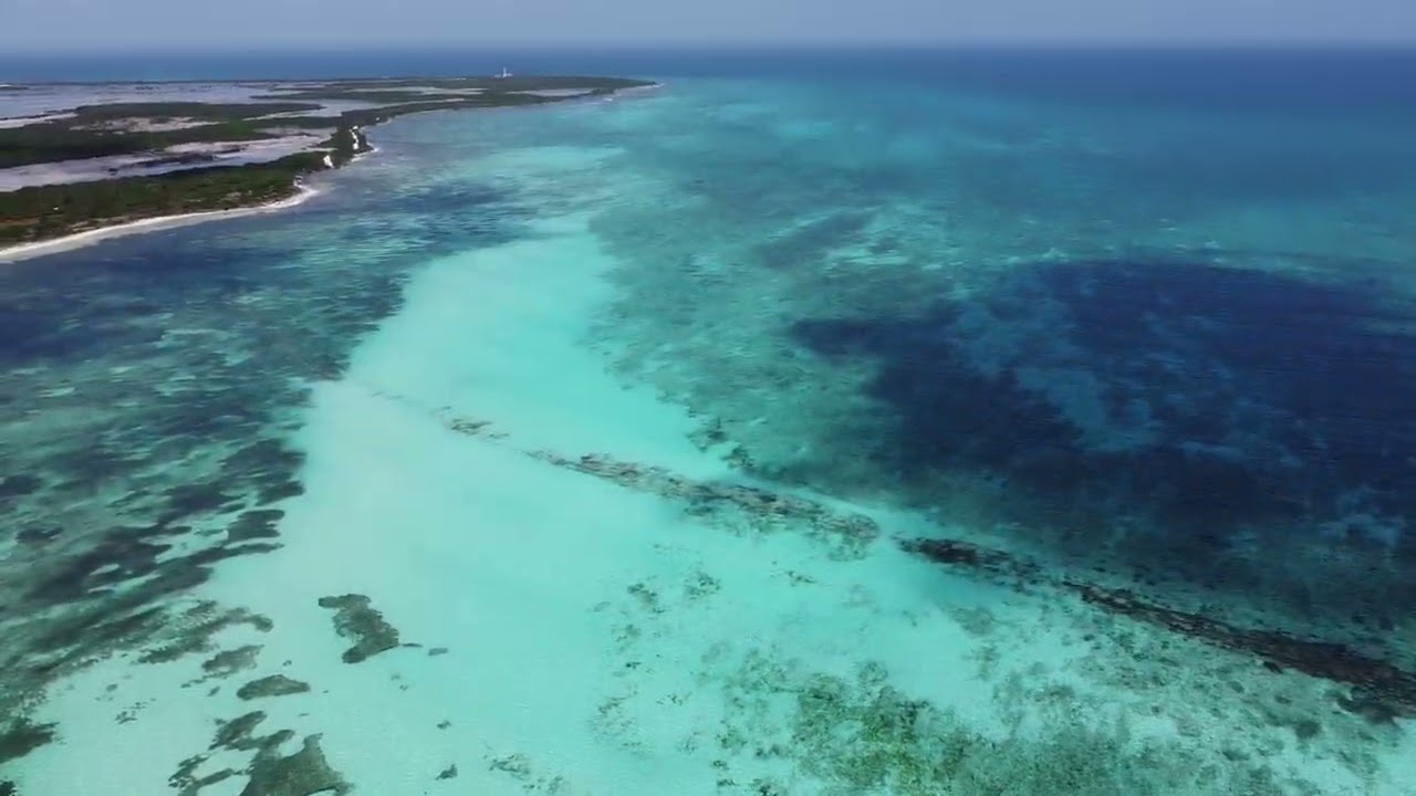 An&eacute;mona Beach Club, Punta Sur, Cozumel #cozumel #puntasur #anemona #dronevideo #beach#wildlife