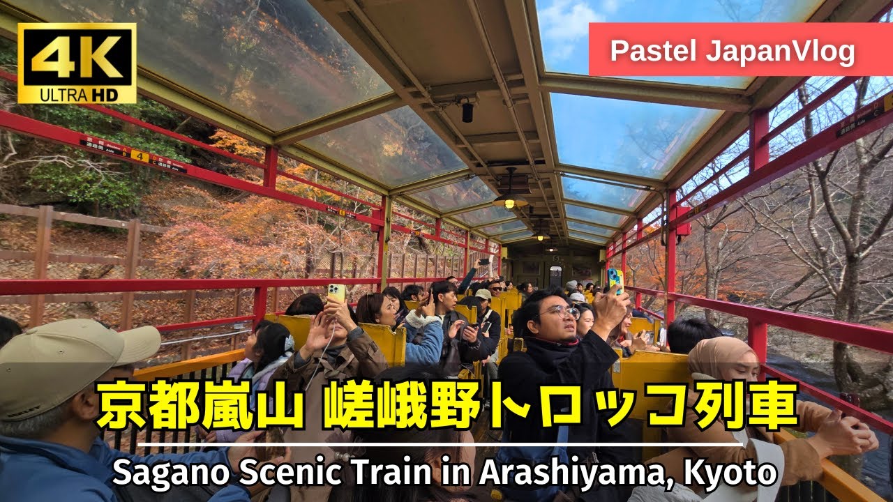 【360度パノラマ】嵐山から出発！嵯峨野トロッコ列車に乗ってきた🚃[Kyoto Trip] Arashiyama Sagano Scenic Train