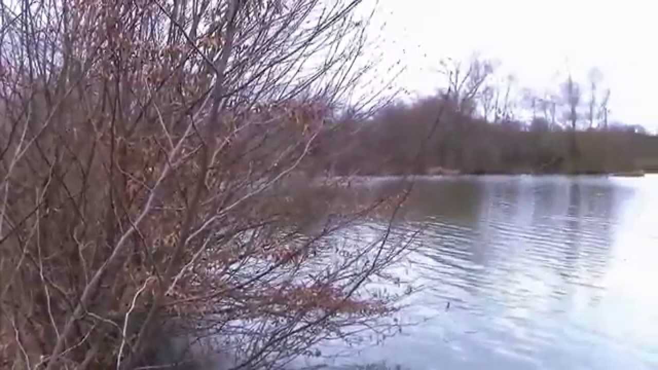 Domaine de chasse à vendre dans le  Cher, 246 Forêt Investissement