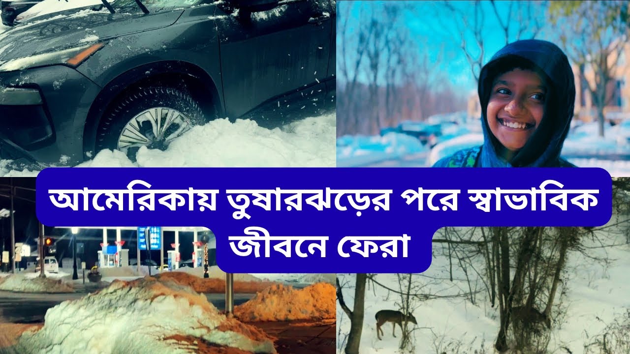 আমেরিকাতে তুষারঝড়ের পরে আমাদের স্বাভাবিক জীবনে ফেরার গল্প |গাড়ির চাকা আটকে গেল বরফে 