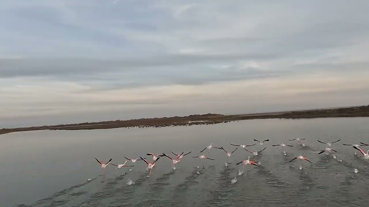 Velodrone Janvier 2024