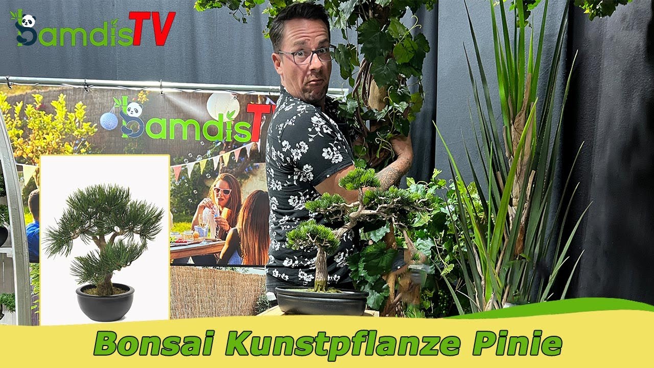 Kleine Sch&ouml;nheit: K&uuml;nstlicher Bonsai in vielen Varianten 🤩