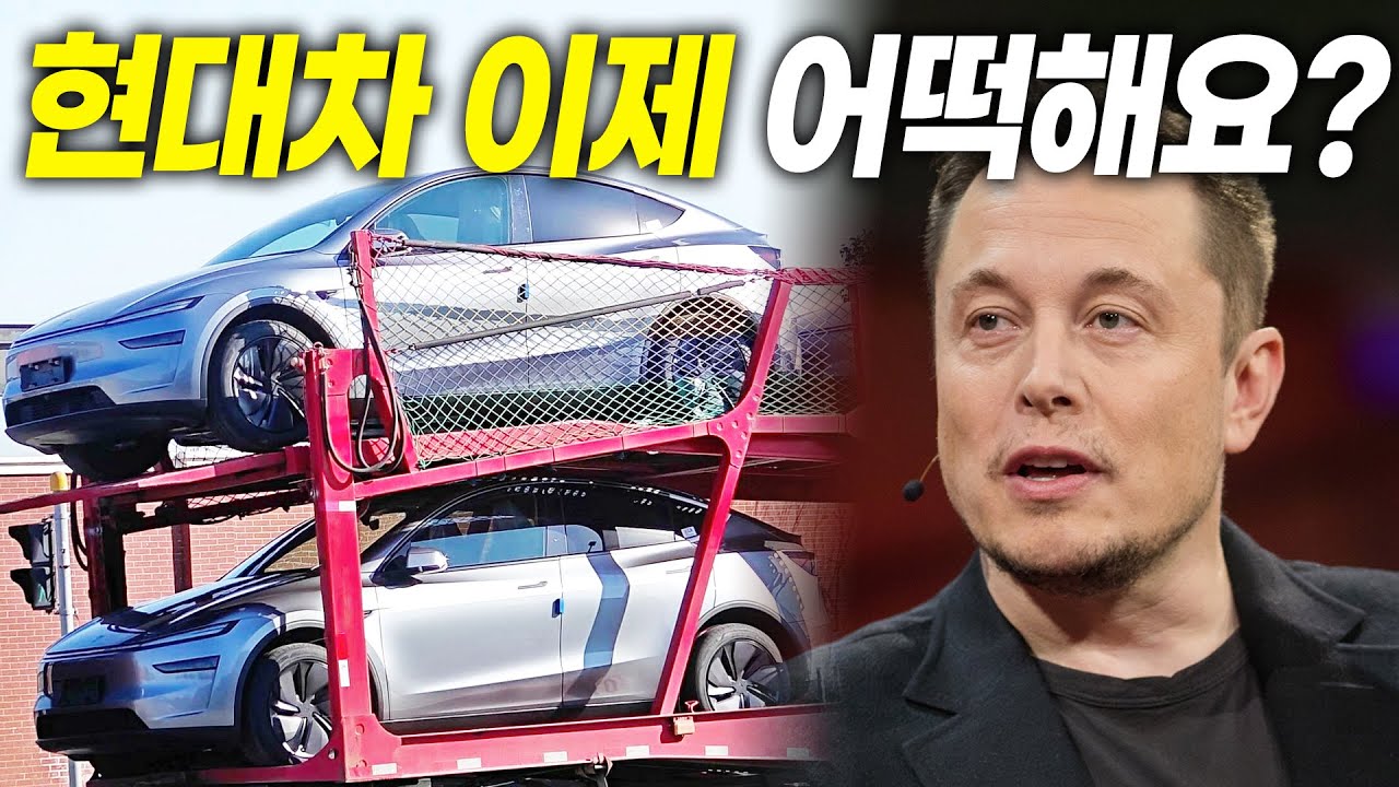 드디어 모델Y도 한국에서 FSD 된다? 테슬라 기습발표, 현대차 긴장해야겠다!
