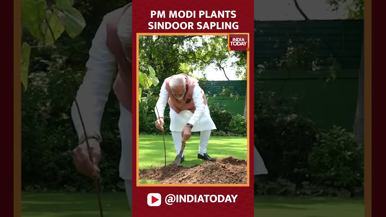 PM Modi Plants Sindoor Sapling On World Environment Day | India Today News