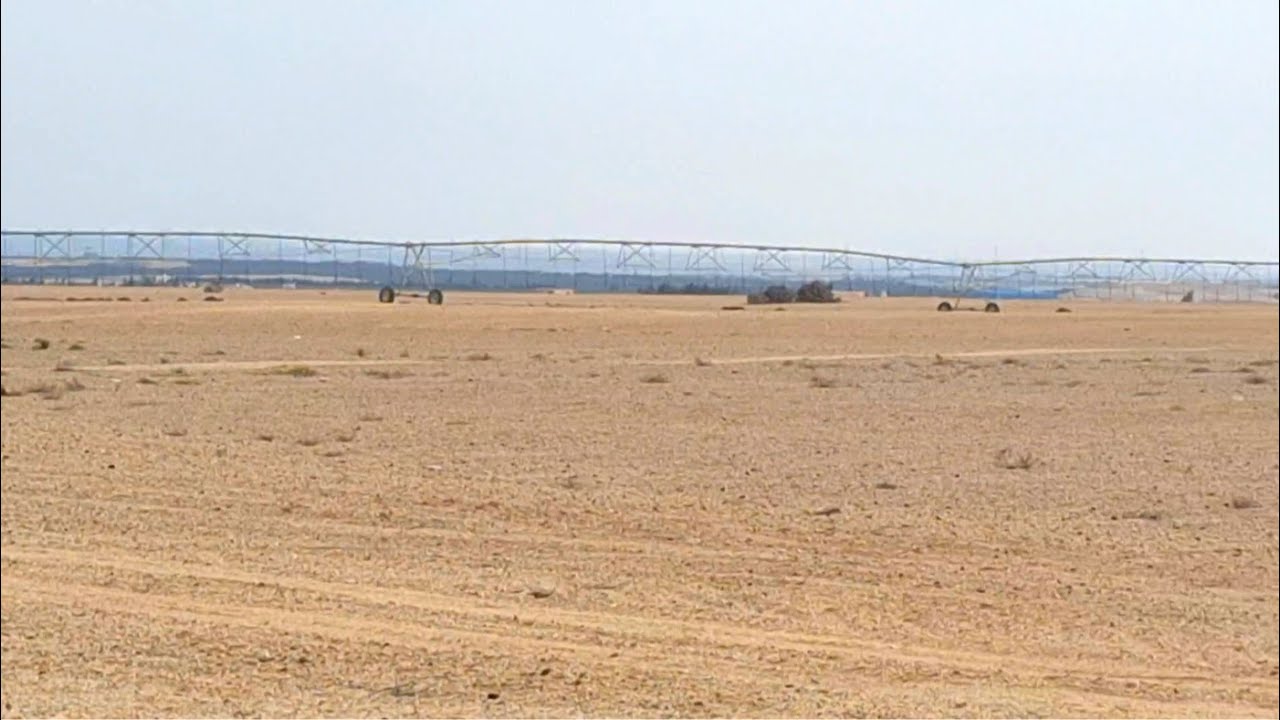 مزرعة لقطة بمعني الكلمة لمستثمر 400 فدان علي اسفلت وادي النطرون عقد ملك نهائي من المحافظة