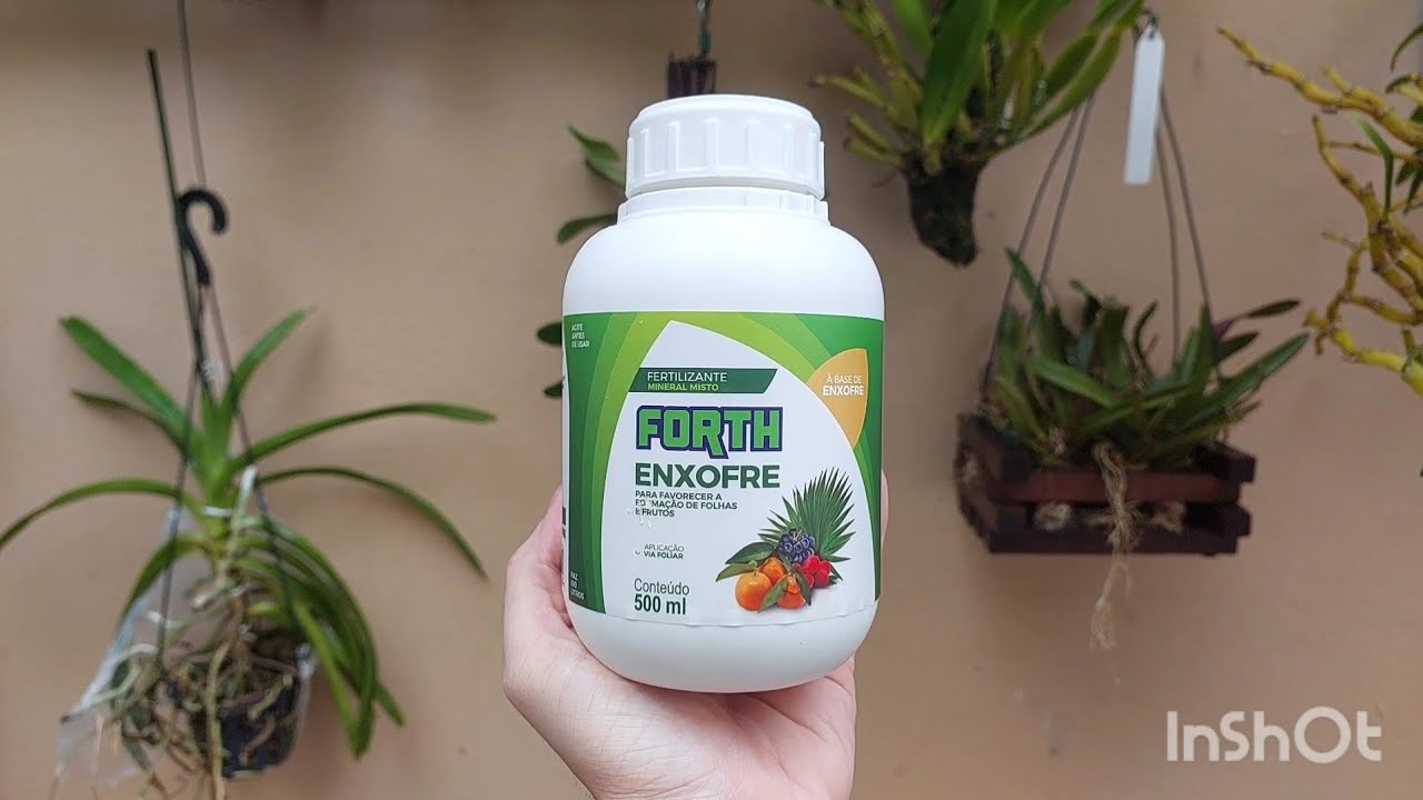 Aplicando Enxofre nas orquídeas - Adubação 