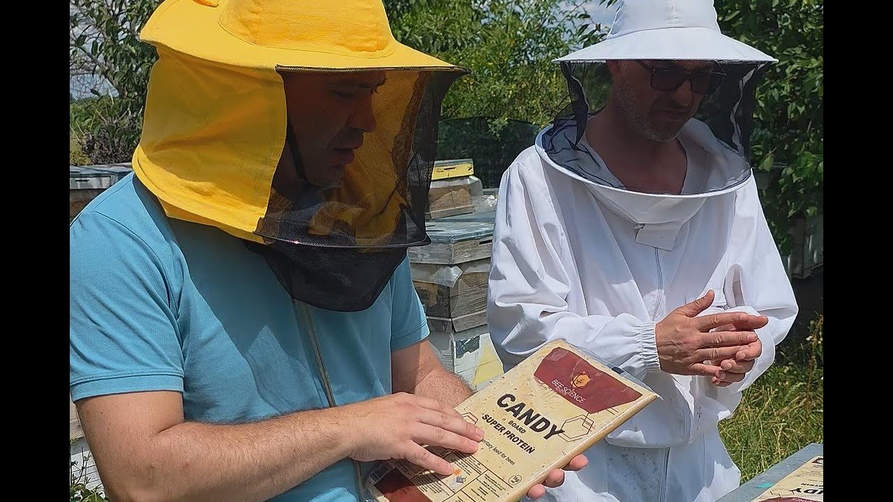 Hrănire proteică, cu domnul doctor Ovidiu Craiu