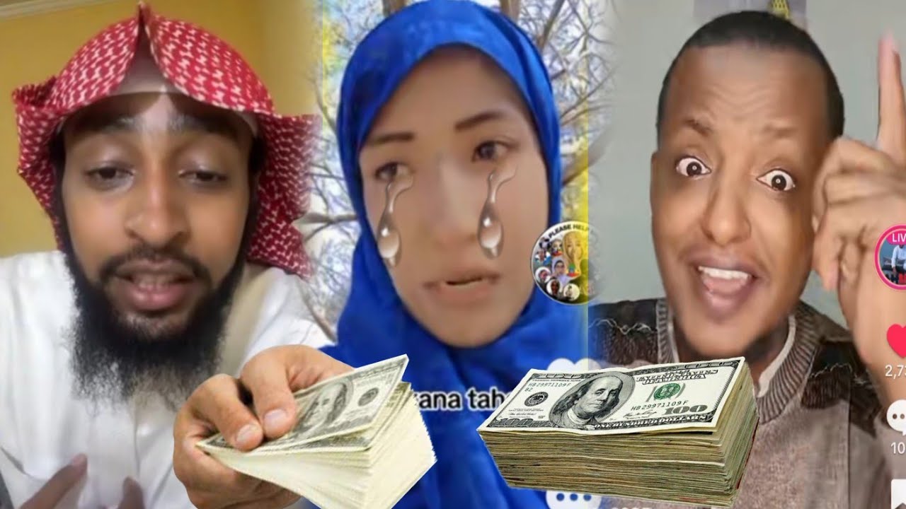Maasha allaa Ustaz ibsan Seenaa Hojetan Shammaran Biyyaa Arabaf Baay'ee Nama Gammachisaa