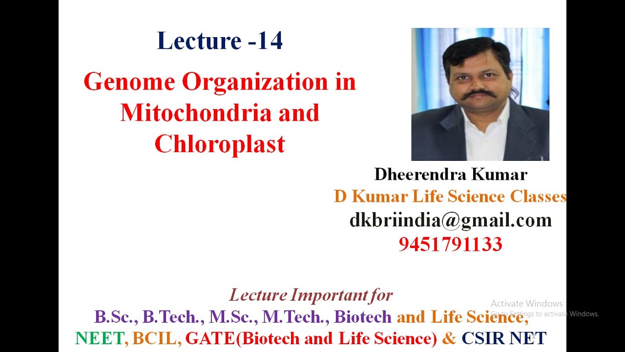 Genome Organization in Mitochondria and Chloroplast by Dheerendra Kumar