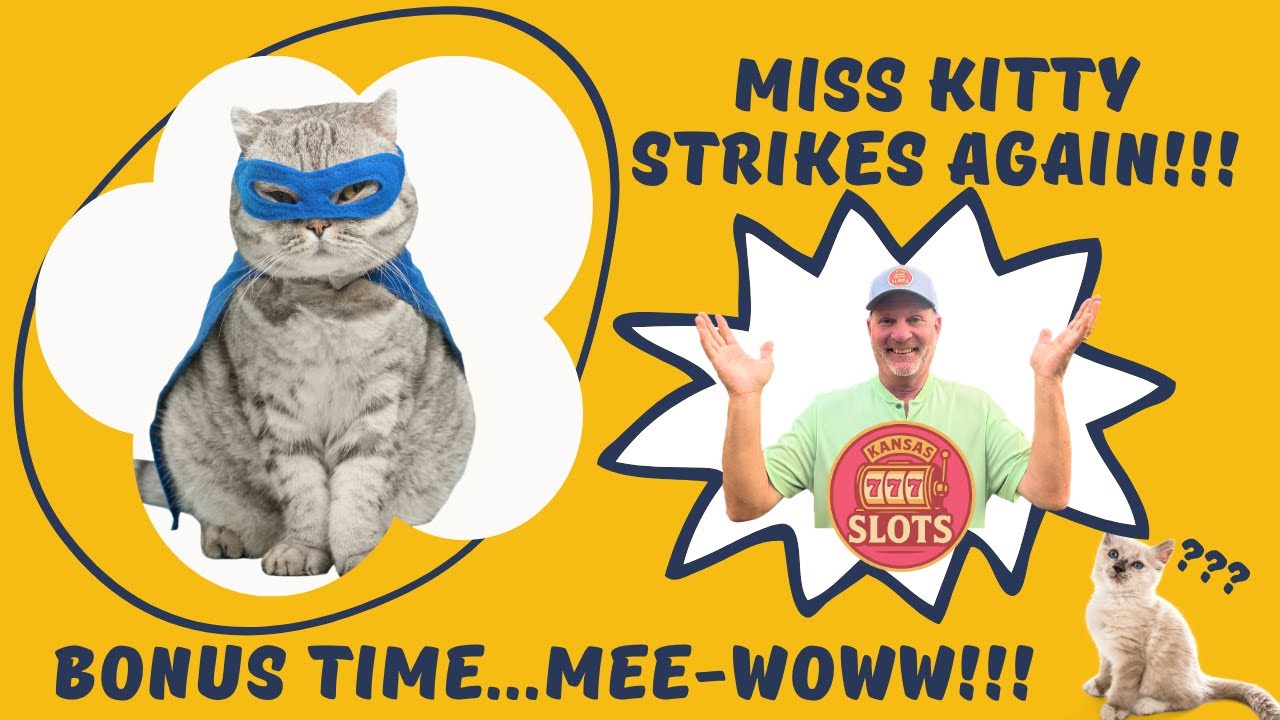 Mee-Woww!! Miss Kitty Saves the Night 🎰 Slot Comeback Win!