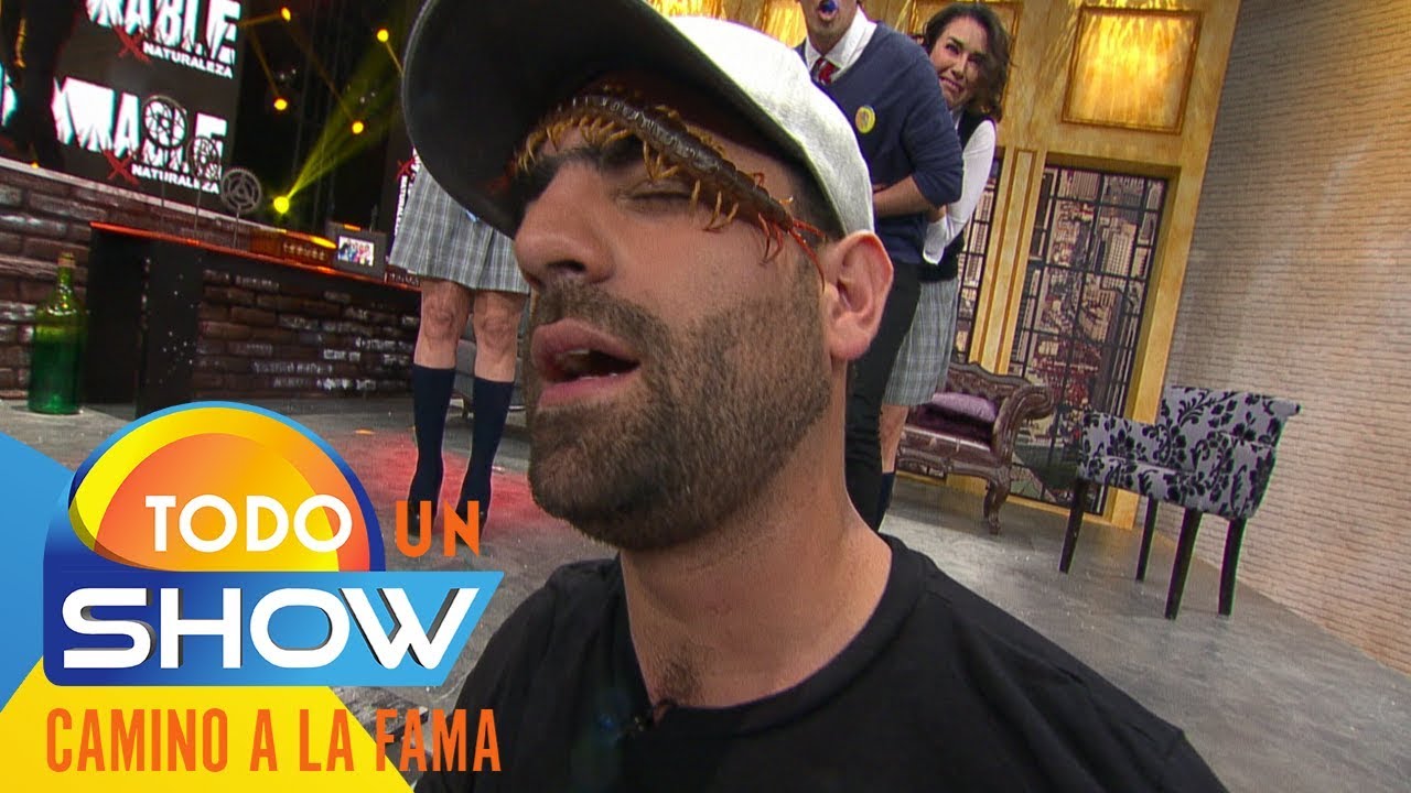 ¡TRAIGAN EL ANTÍDOTO! ¡Un ciempiés paraliza a todos en el foro de Todo un show!