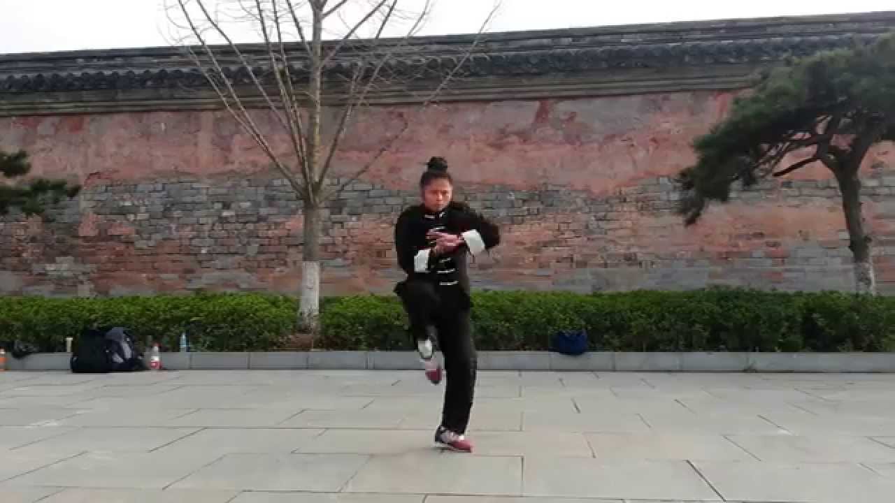 Wudang Tanglang Quan (Praying Mantis)