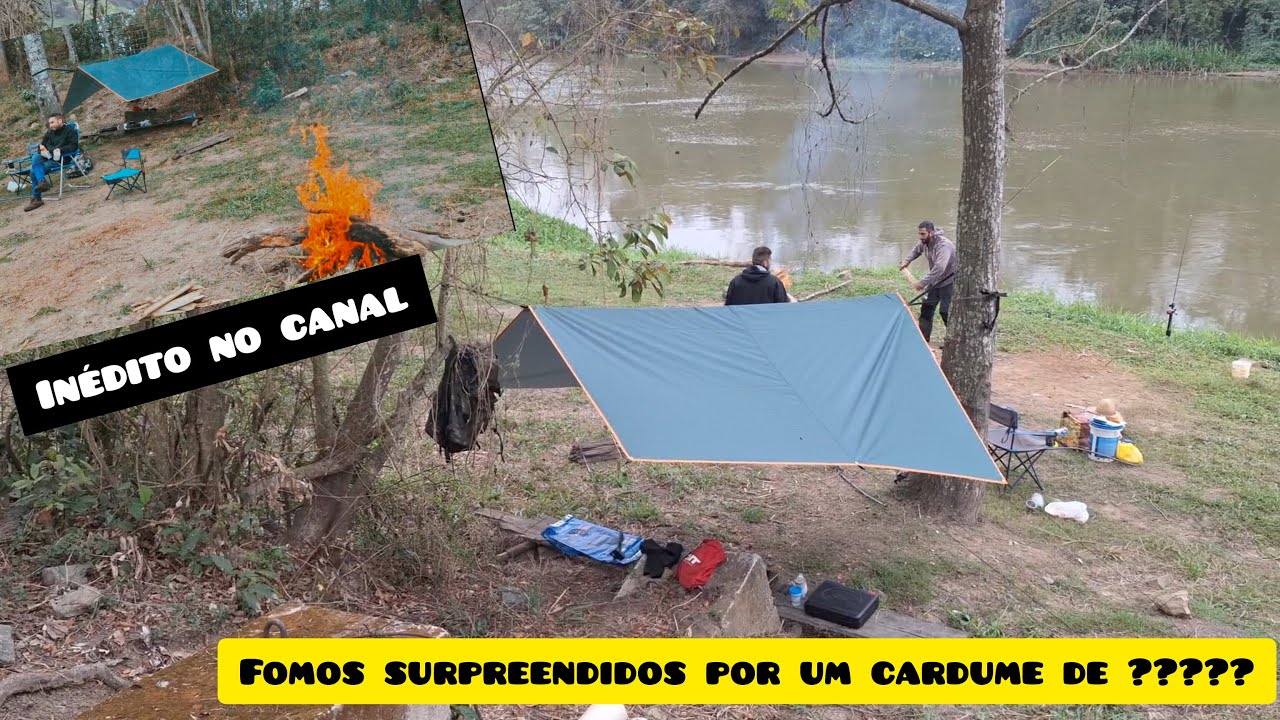 Fomos atacados....Tivemos que sair correndo...