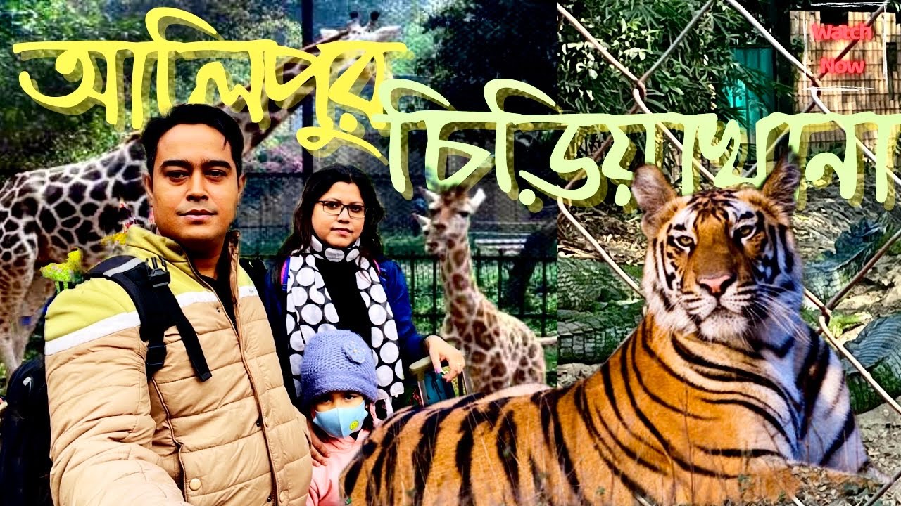 আলিপুর চিড়িয়াখানা ভ্রমণ|| আলিপুর zoo|| আলিপুর চিড়িয়াখানা