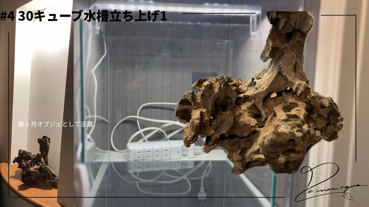 #4 チャームでポチった一点物ハニカムウッドで30キューブ立ち上げ　#アクアリウム #アヌビアス  #30cmキューブ