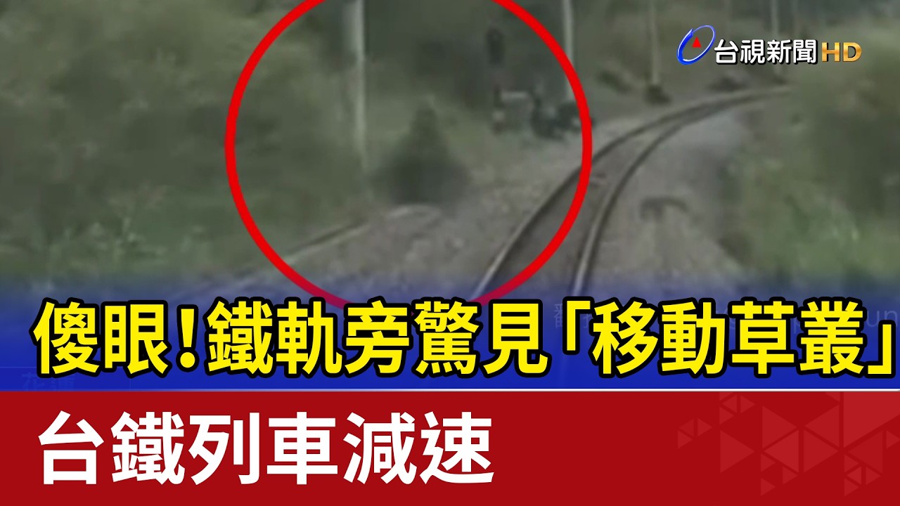 傻眼！鐵軌旁驚見「移動草叢」 台鐵列車減速